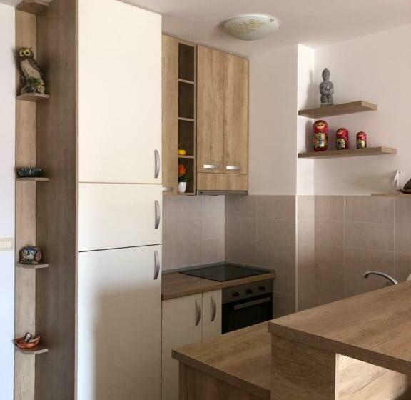 Entire Apartament With Sea View Budva