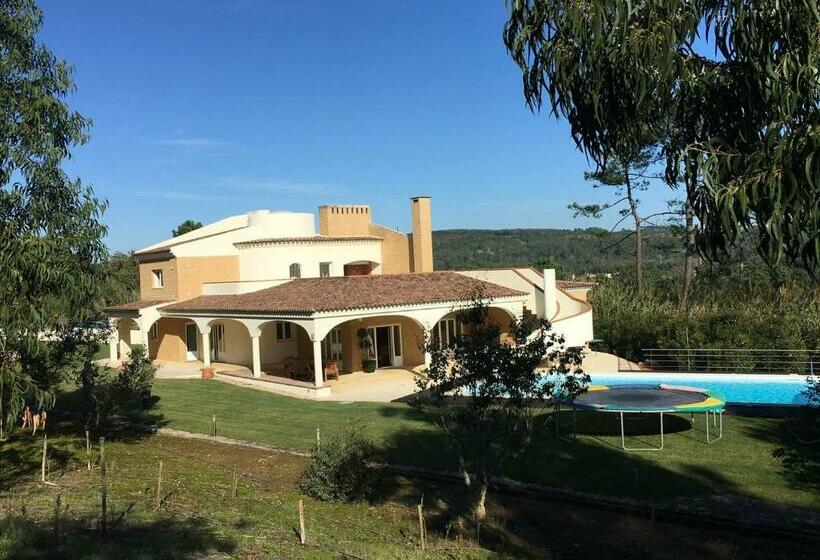 Stunning And Luxurious Villa And Pool Surrounded By Green