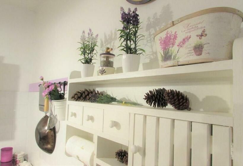 Purple House   Arboriamar Platamona