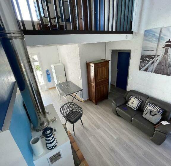 Réf 277 Seignosse Les Bourdaines , à Proximité Immédiate De La Plage, Villa Patio Classée 2 étoiles