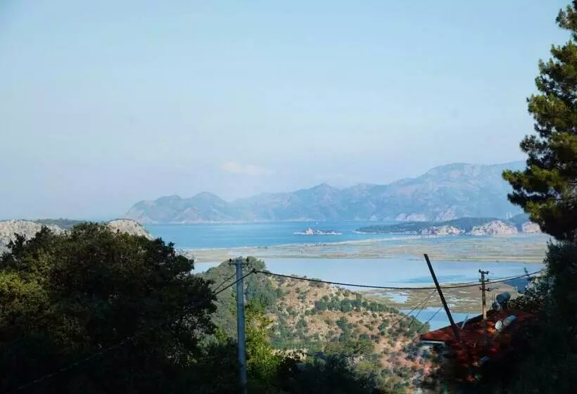 Kozalak Evleri