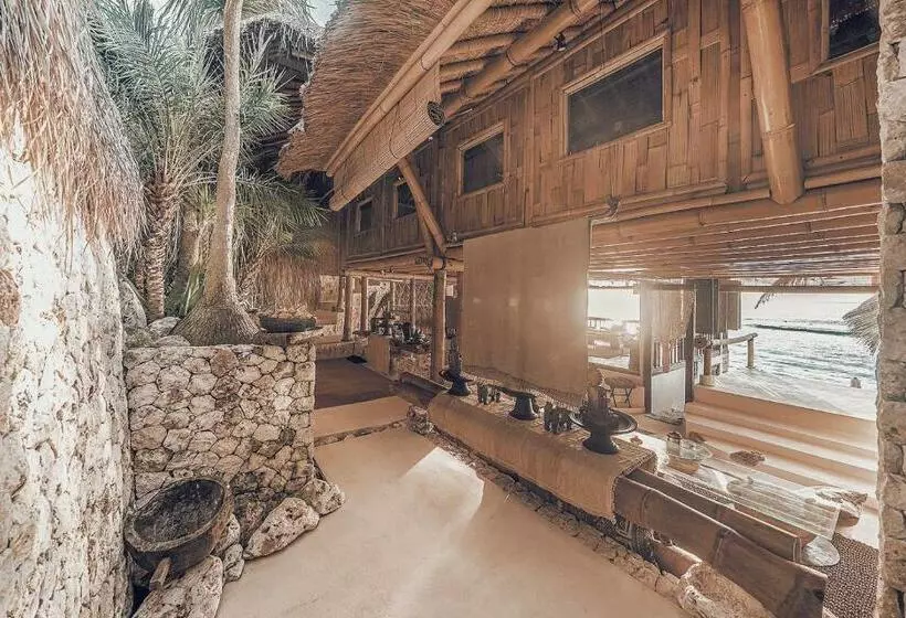 The Baha House
