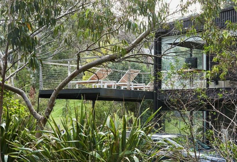 The Shed Great Ocean Road