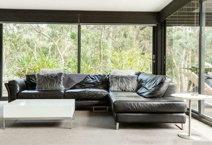 The Shed Great Ocean Road