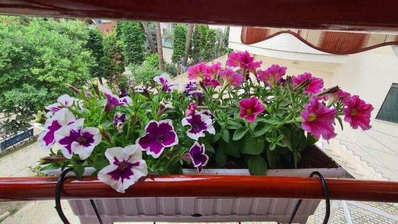 Family Apartment In Golem