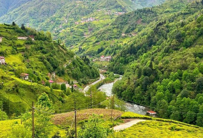 Heaven Ayder Apartment