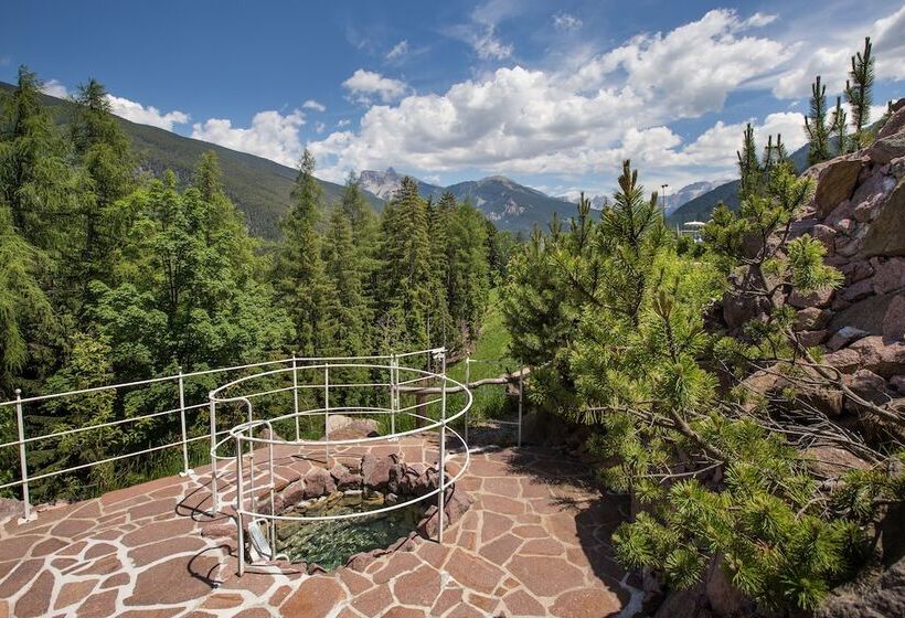 Albion Mountain Spa Resort Dolomites