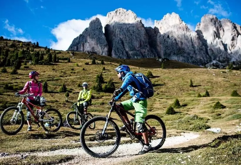 Albion Mountain Spa Resort Dolomites