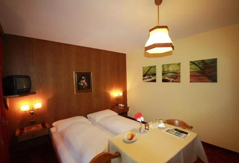 ベッドアンドブレックファースト Pension Mühlbachhof