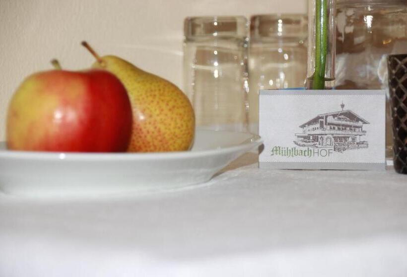 مبيت وإفطار Pension Mühlbachhof