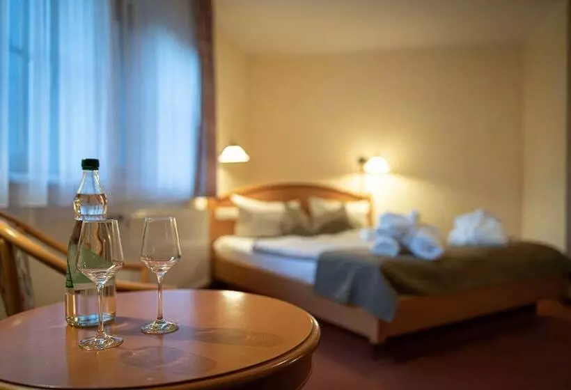 酒店 Amselgrundschlosschen