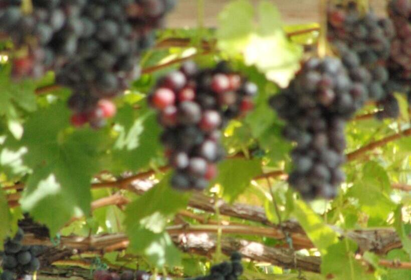 ホテル Garni An Der Leit