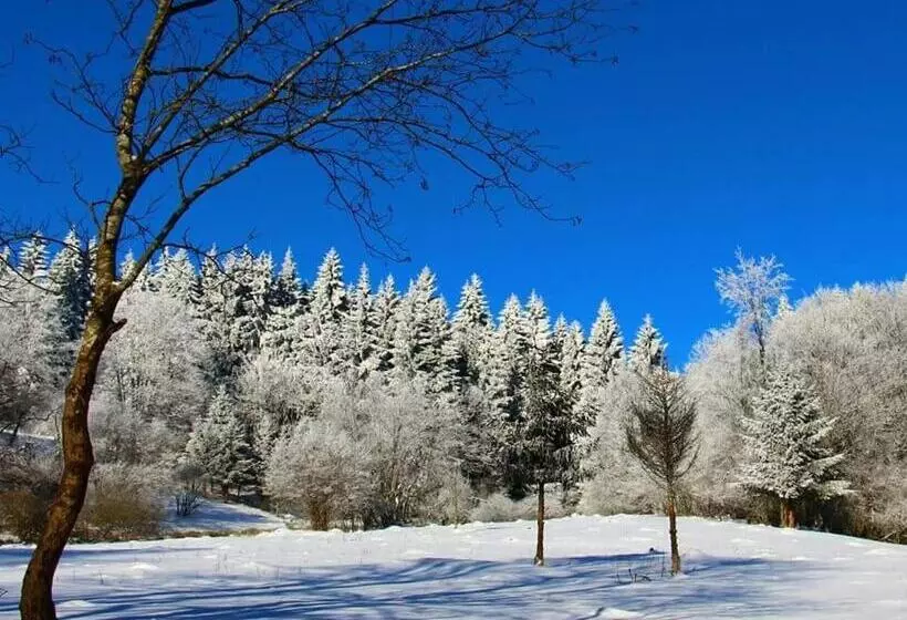 פנסיון Rhönblick Landhotel Restaurant Countrypub