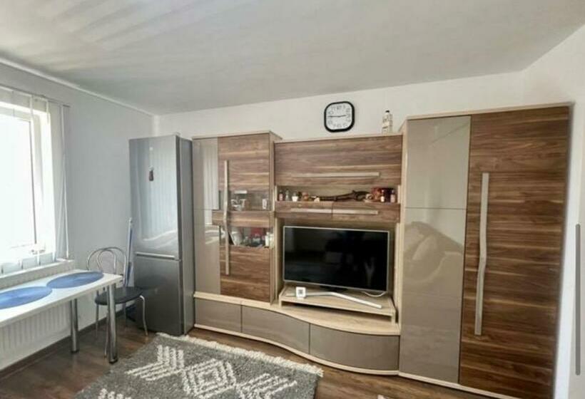 Garsoniera Baia Mare