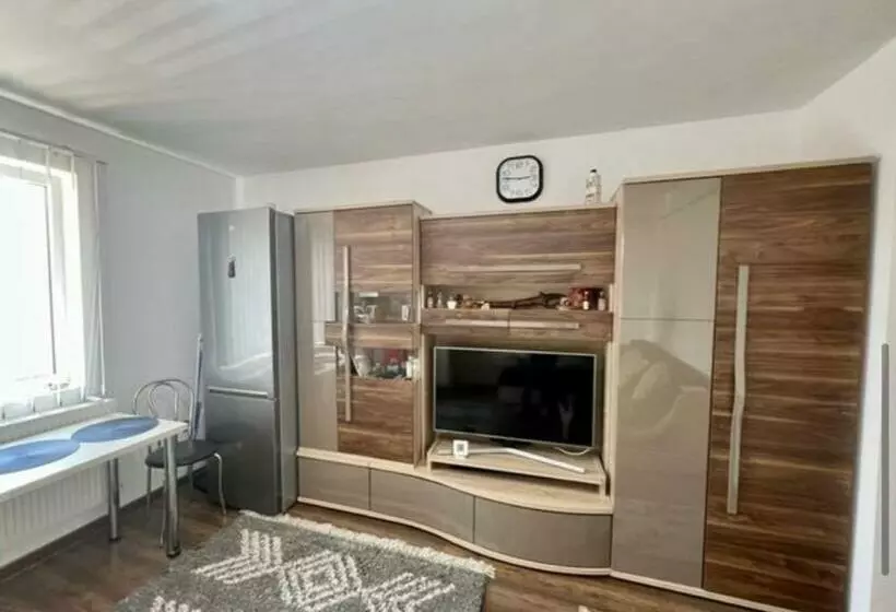 Garsoniera Baia Mare