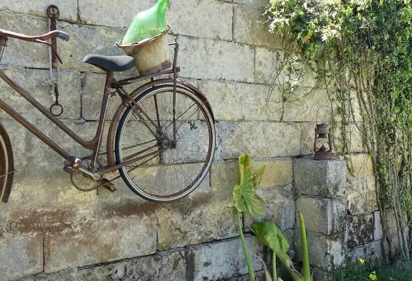 La Vigna Salentina   Con Giardino E Piscina Privata