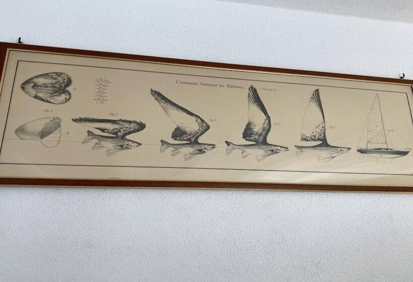 Molo Blu Apartment In La Maddalena