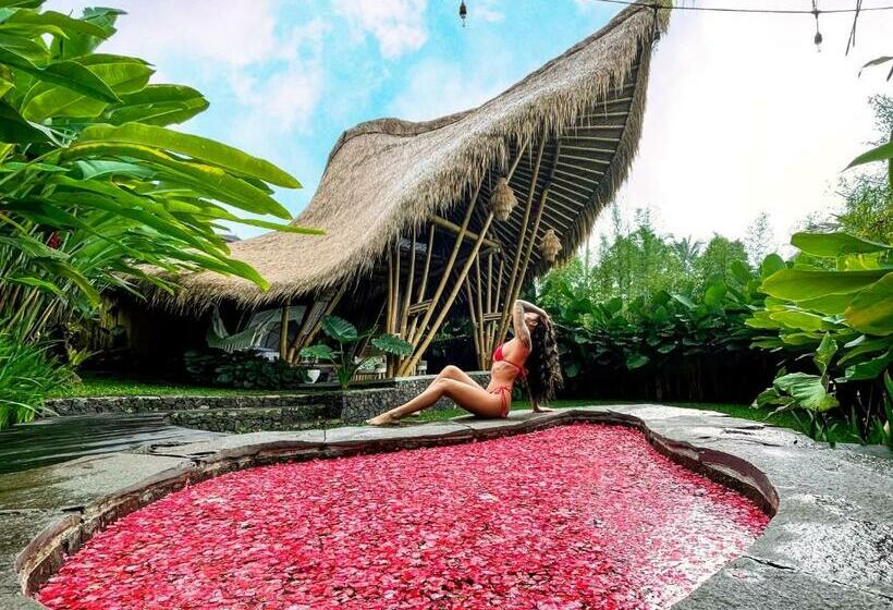 Balikayanas Bamboo House Miggiell House