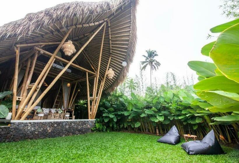 Balikayanas Bamboo House Miggiell House