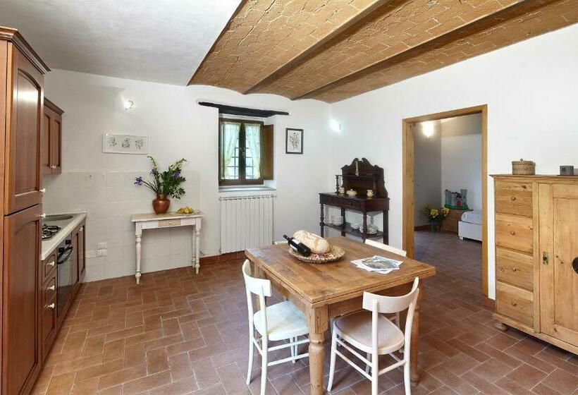 Il Bosco In Cielo   Il Tasso