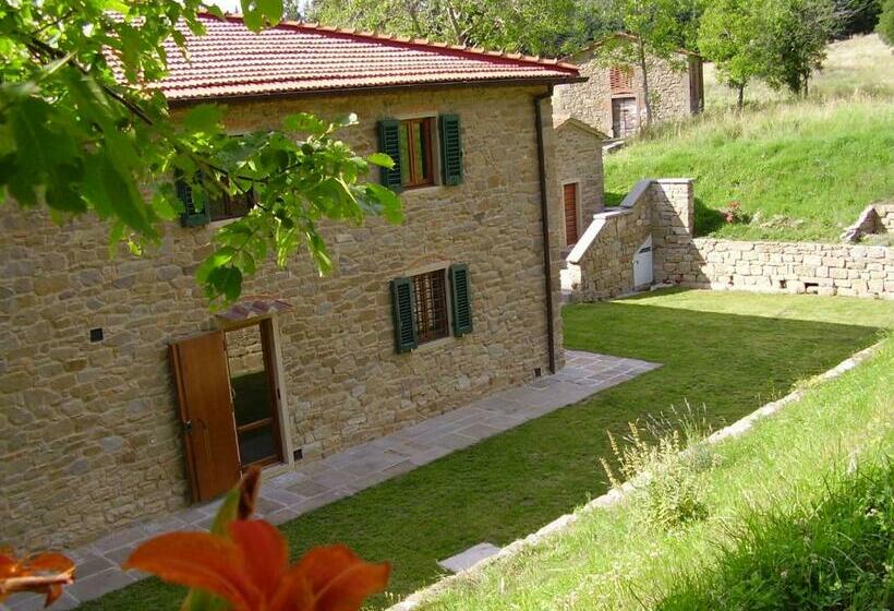 Il Bosco In Cielo   Il Tasso