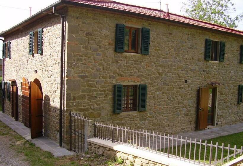 Il Bosco In Cielo   Il Tasso