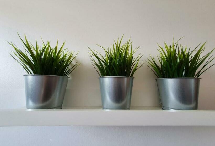 Stylish City Centre Apartment On The Kings Mile