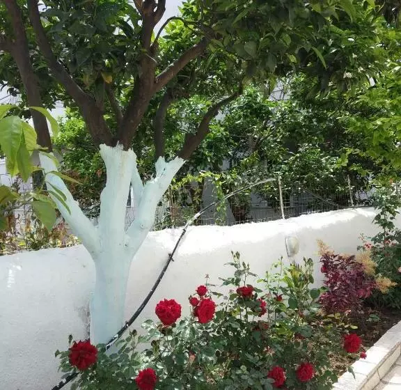 Apartments Margarita