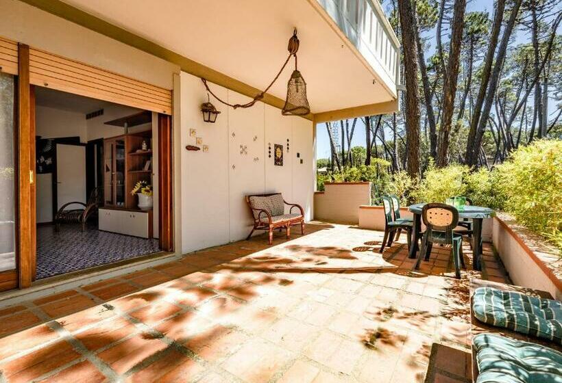 Luminoso Appartamento