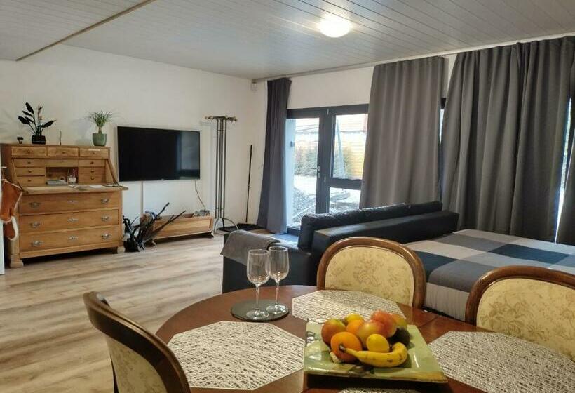 Spacieux Studio 38m2 Avec Sauna