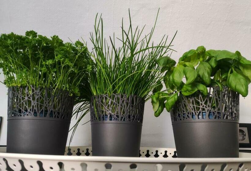 Ferienwohnung Schwarzwaldliebe