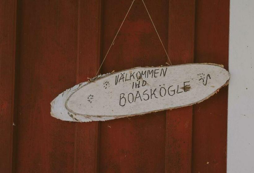 Hof Boaskögle