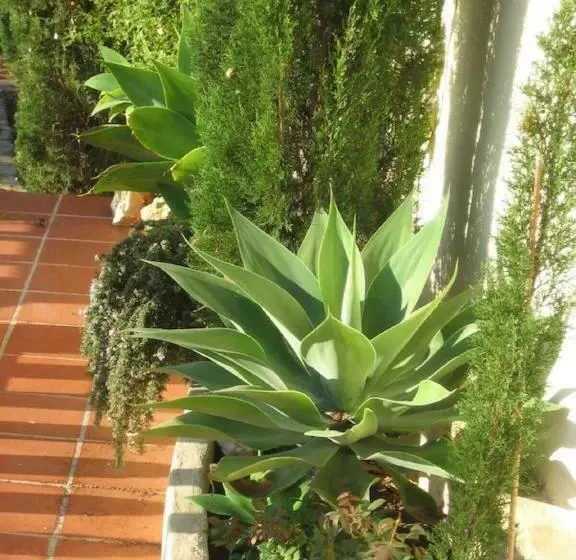 Villa Puerta Azul