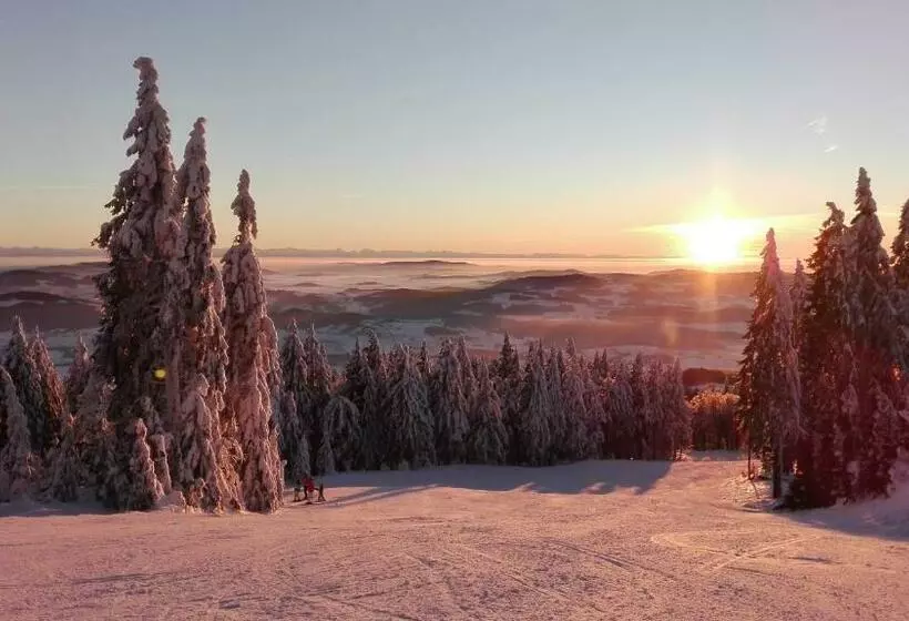 Apartmán Pecka   Nová Pec