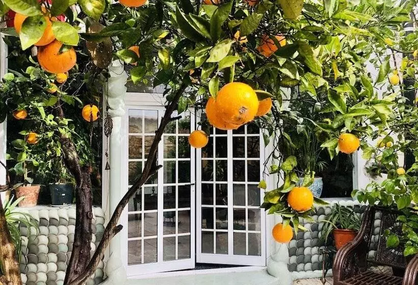 Beautiful Small House In Algarve Portugal