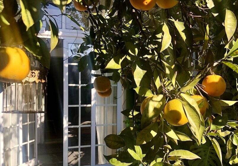 Beautiful Small House In Algarve Portugal