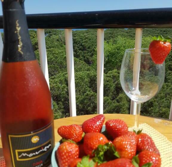 Apartamento En La Torre De S`abanell