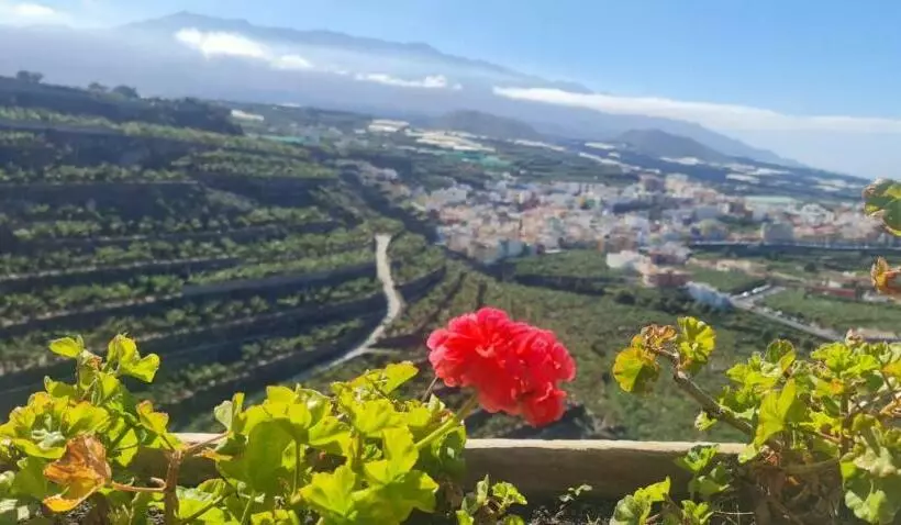 Vivienda Vacacional Los Geranios Tazacorte