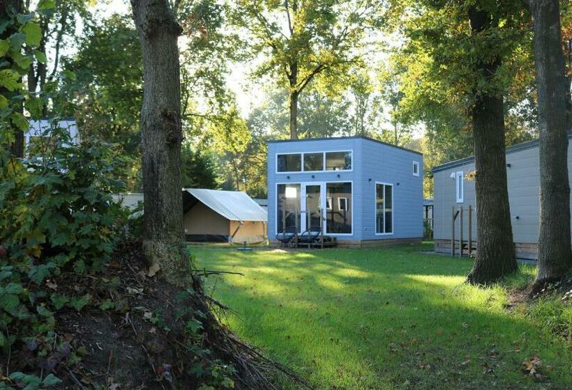 Camping De Pallegarste   Voor Uw Vakantiebestemming!