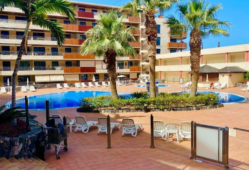 Penthouse Apartment Zentral Und Ruhig Gelegen