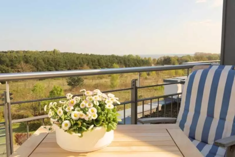 Residenz Bellevue Fewos 6 Und 32 Fewo Cc Herrmann