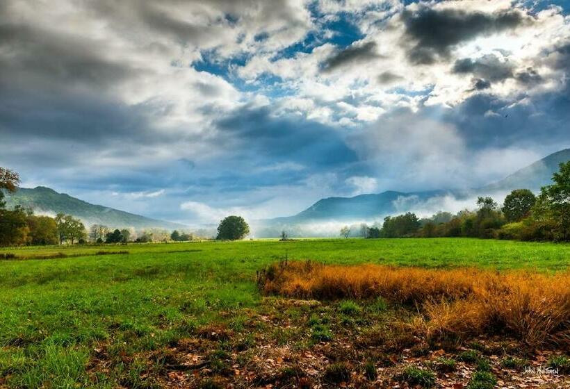 Spacious 3br+ Douglas Lake +pigeon Forge+ Gym +disney+ Firepit +creek+ Fishin