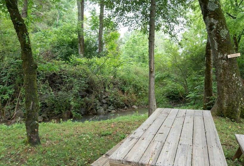 Spacious 3br+ Douglas Lake +pigeon Forge+ Gym +disney+ Firepit +creek+ Fishin