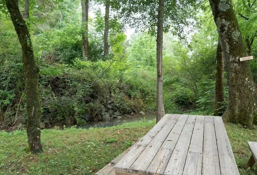 Spacious 3br+ Douglas Lake +pigeon Forge+ Gym +disney+ Firepit +creek+ Fishin