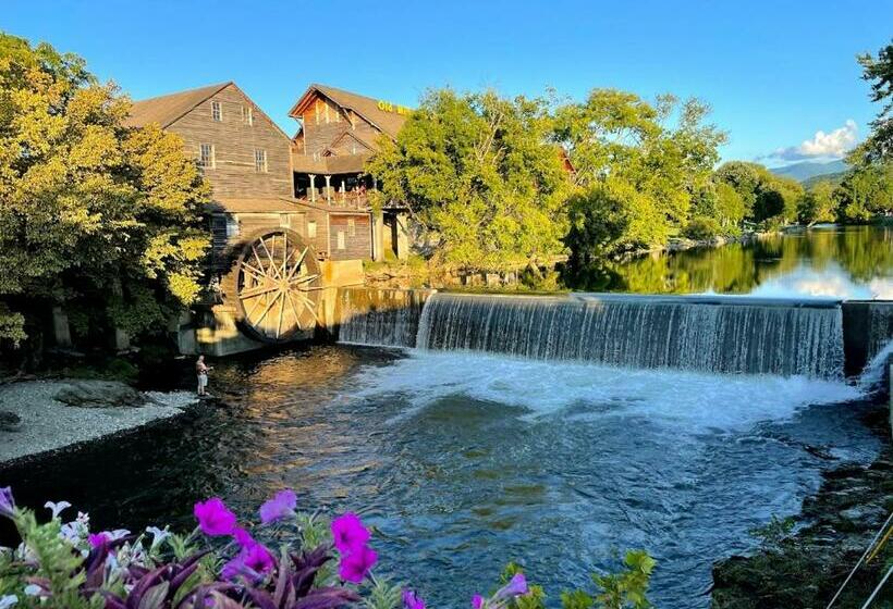 Spacious 3br+ Douglas Lake +pigeon Forge+ Gym +disney+ Firepit +creek+ Fishin