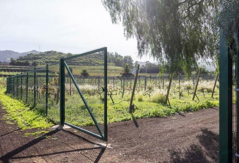 Casita Entre Viñedos, Experiencia Rural, Ideal Niños