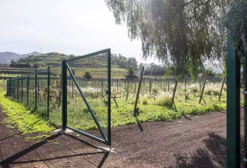 Casita Entre Viñedos, Experiencia Rural, Ideal Niños
