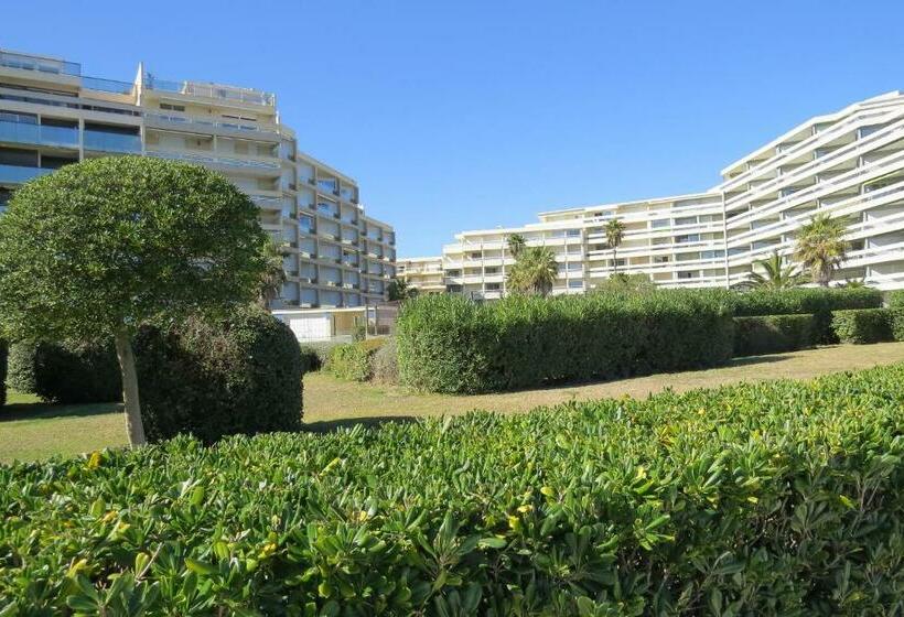 Coup De Cœur Pour Ce Cosy T2 Avec Vue Imprenable Sur La Mer   4gsud101