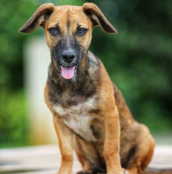 Gatehouse Cabin   Stunning Accommodation With Pool In Drake Bay