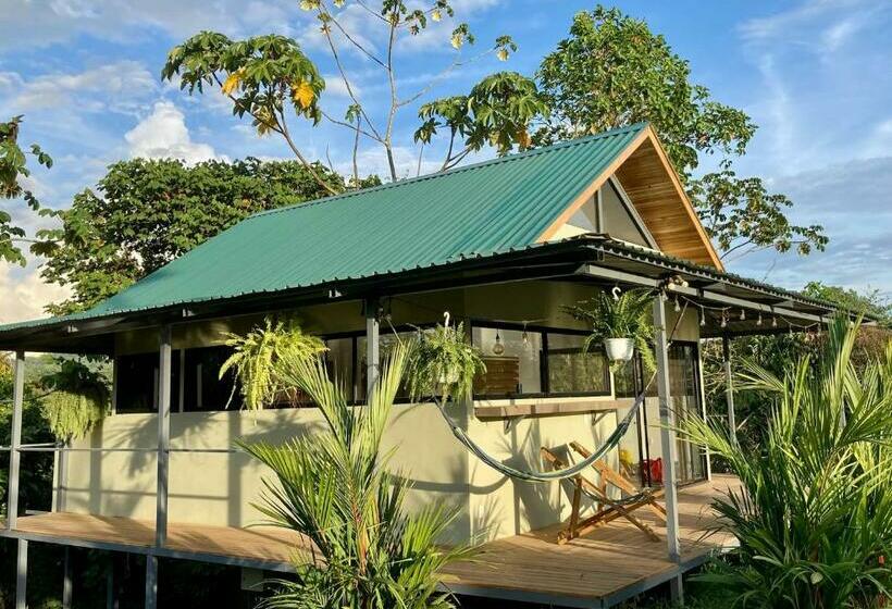 Gatehouse Cabin   Stunning Accommodation With Pool In Drake Bay